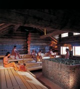 Single sauna wischlingen
